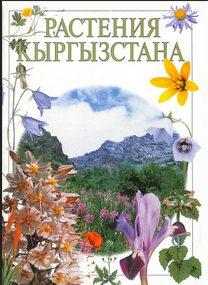 Растения  Кырыгызстана