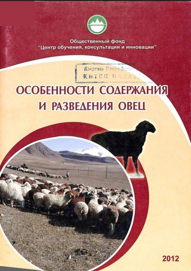 Особенности содержания и разведения овец