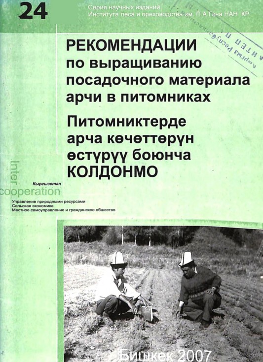 Рекомендации по выращиванию посадочного материала арчи в питомниках