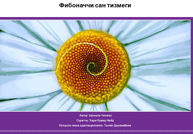 Фибоначчи сан тизмеги