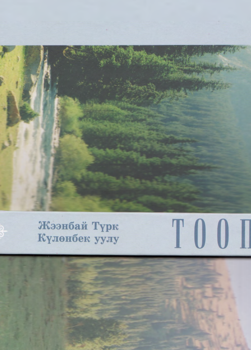Тоопир