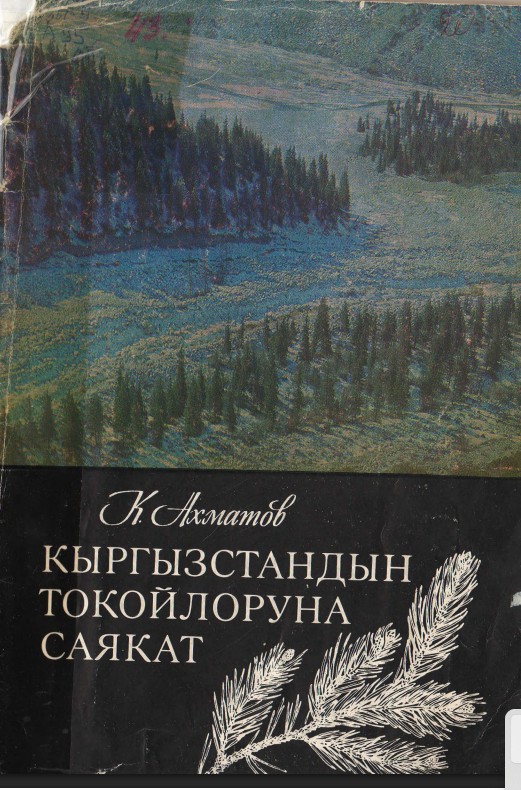 Кыргызстандын токойлоруна саякат