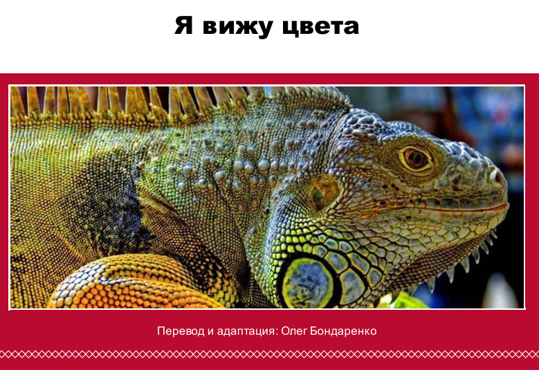 Я вижу цвета