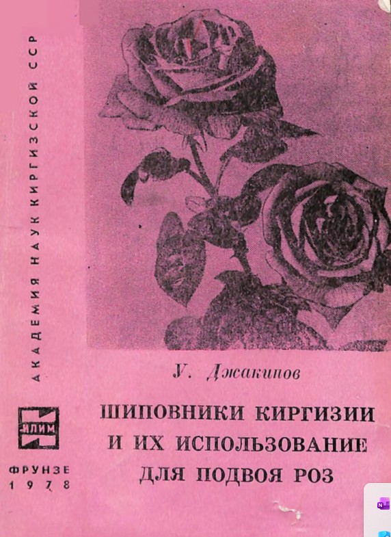 Шиповники Киргизии и их использование для подвоя роз