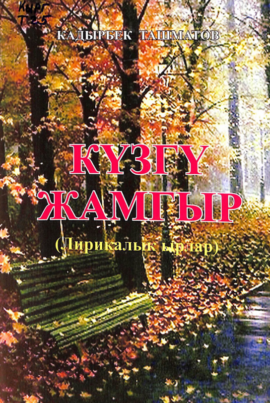 Күзгү жамгыр