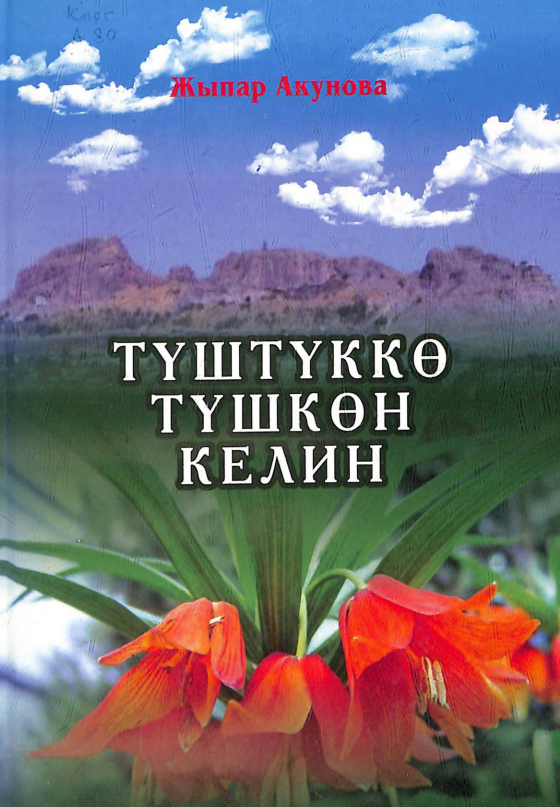 Түштүккө түшкөн келин