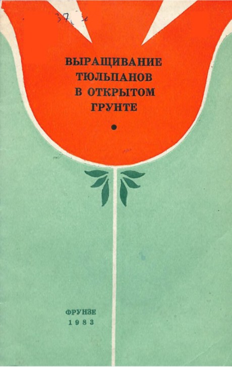 Выращивание тюльпанов в открытом грунте