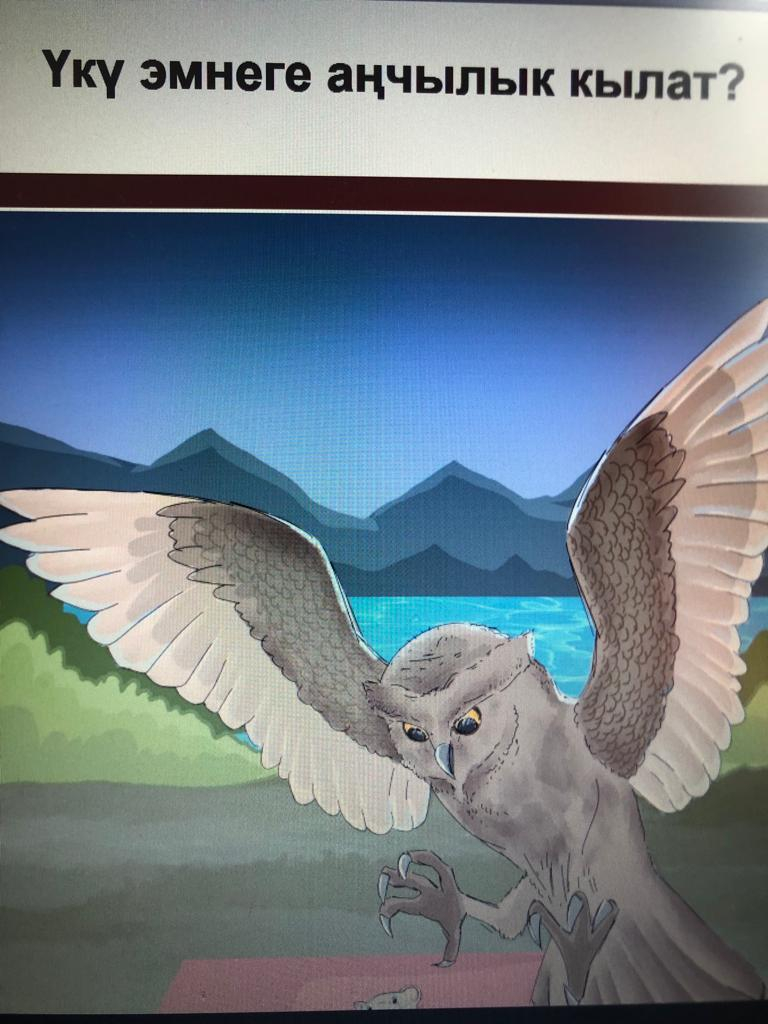 Үкү эмнеге аңчылык кылат?