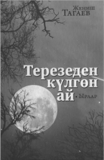 Терезеден күлгөн ай