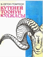 Кутеней тоонун кулжасы