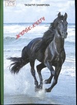 Жүрөк &ndash; күзгу