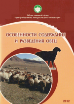 Особенности содержания и разведения овец
